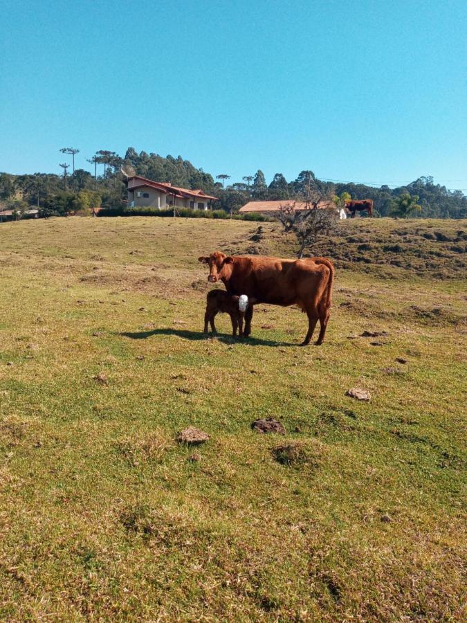 Pousada Landhaus Urubici Bagian luar foto